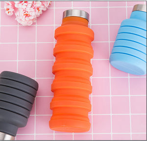 COLLAPSIBLE WATER BOTTLE