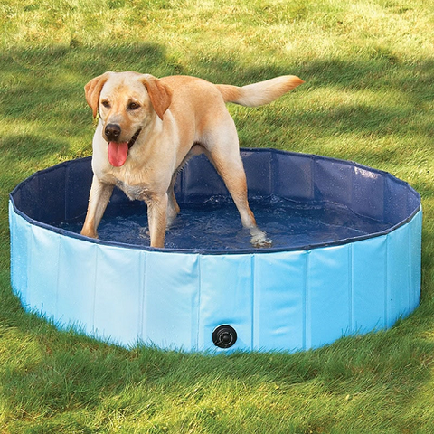Image of Foldable Dog Swimming Pool